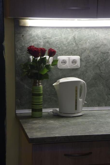 Cosy Warm In The Heart Of Prague. Appartement Prague